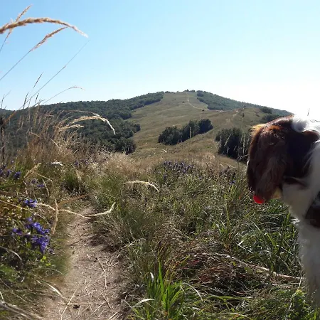Turisticka 8 Alpesi faház