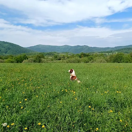 Turistická Ubytovňa 8 Runina
